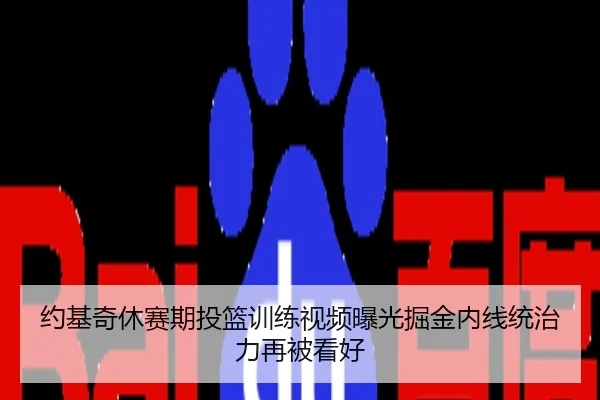 约基奇休赛期投篮训练视频曝光掘金内线统治力再被看好